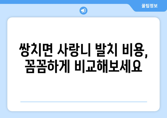 전라북도 순창군 쌍치면 사랑니 치과 매복 발치 잘하는 곳 비용 | 후기 | 추천