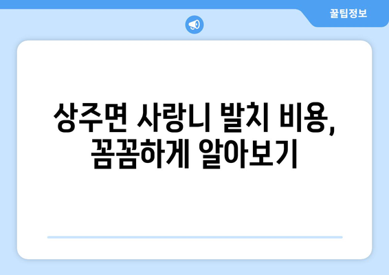 경상남도 남해군 상주면 사랑니 치과 매복 발치 잘하는 곳 비용 | 후기 | 추천