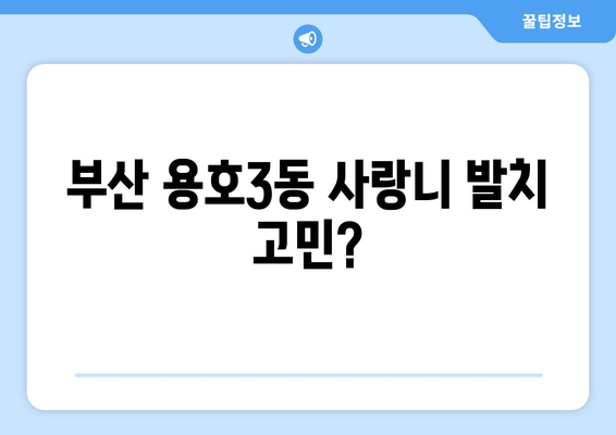부산시 남구 용호3동 사랑니 치과 매복 발치 잘하는 곳 비용 | 후기 | 추천