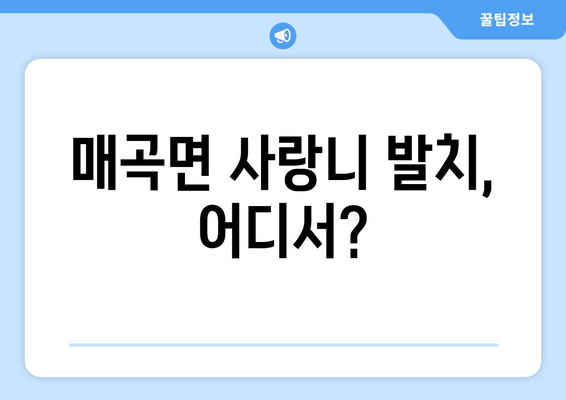 충청북도 영동군 매곡면 사랑니 치과 매복 발치 잘하는 곳 비용 | 후기 | 추천