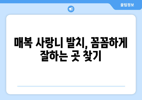 경상남도 산청군 시천면 사랑니 치과 매복 발치 잘하는 곳 비용 | 후기 | 추천