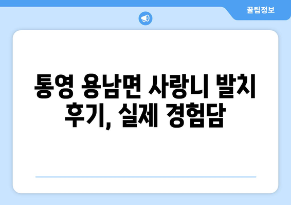 경상남도 통영시 용남면 사랑니 치과 매복 발치 잘하는 곳 비용 | 후기 | 추천
