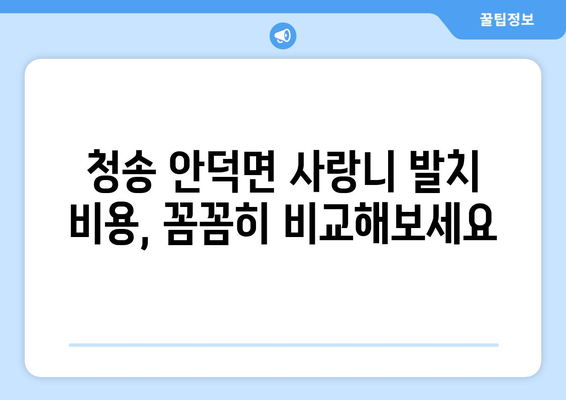 경상북도 청송군 안덕면 사랑니 치과 매복 발치 잘하는 곳 비용 | 후기 | 추천