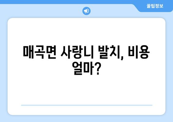 충청북도 영동군 매곡면 사랑니 치과 매복 발치 잘하는 곳 비용 | 후기 | 추천