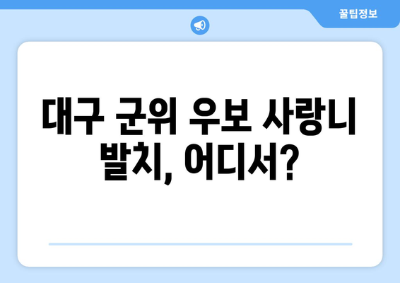 대구시 군위군 우보면 사랑니 치과 매복 발치 잘하는 곳 비용 | 후기 | 추천