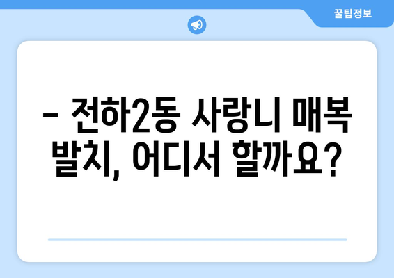 울산시 동구 전하2동 사랑니 치과 매복 발치 잘하는 곳 비용 | 후기 | 추천