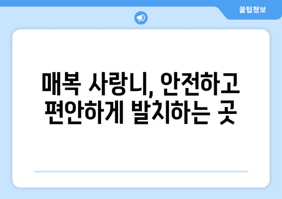 경상남도 남해군 상주면 사랑니 치과 매복 발치 잘하는 곳 비용 | 후기 | 추천