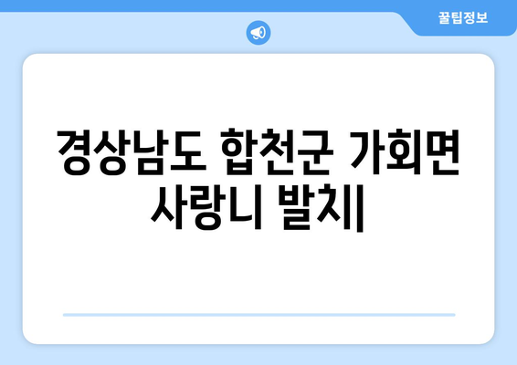 경상남도 합천군 가회면 사랑니 치과 매복 발치 잘하는 곳 비용 | 후기 | 추천