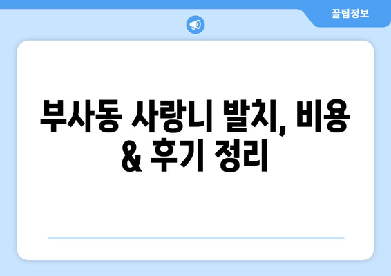 대전시 중구 부사동 사랑니 치과 매복 발치 잘하는 곳 비용 | 후기 | 추천