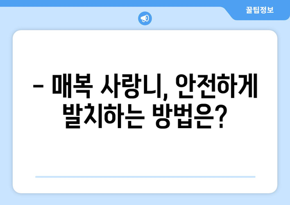 서울시 성동구 성수2가제3동 사랑니 치과 매복 발치 잘하는 곳 비용 | 후기 | 추천