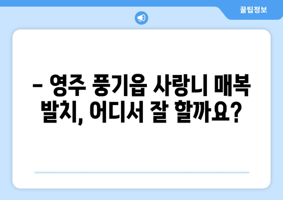 경상북도 영주시 풍기읍 사랑니 치과 매복 발치 잘하는 곳 비용 | 후기 | 추천