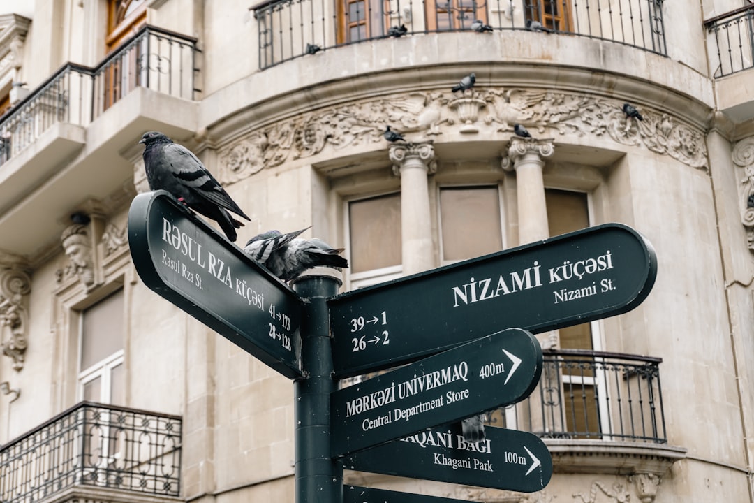 생활비 절약 팁 가이드