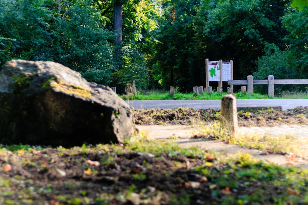 월급 관리법 가이드