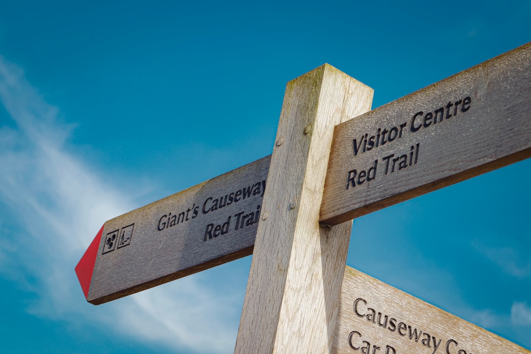 소비 줄이는 방법 가이드